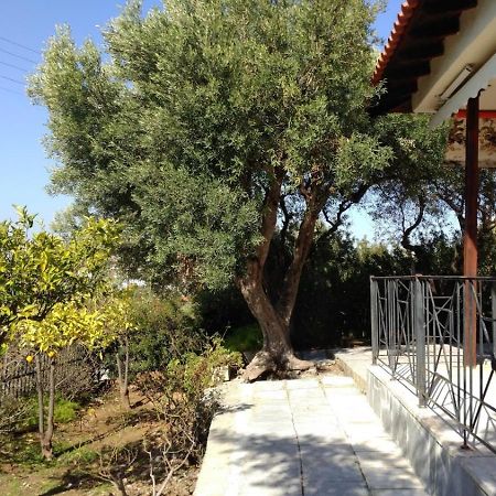 Gerakina Beach Cottage Псакудия Экстерьер фото