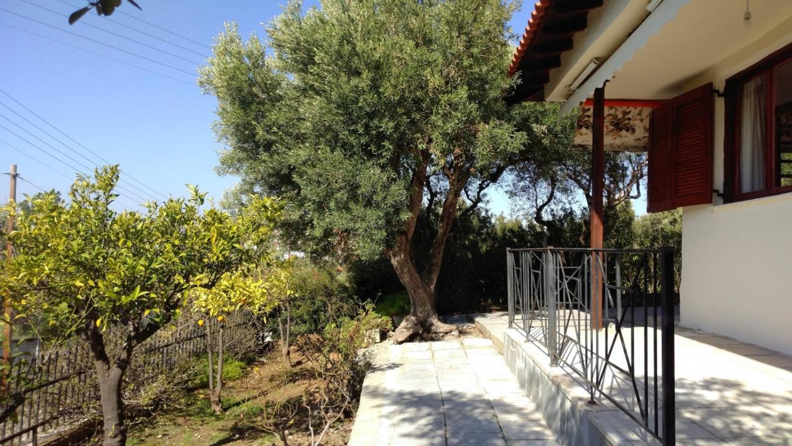 Gerakina Beach Cottage Псакудия Экстерьер фото